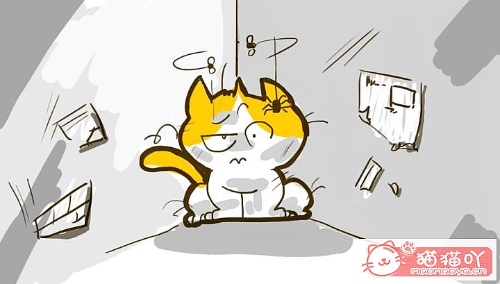 《迎接一只萌猫到家的全方面准备》原文配图2