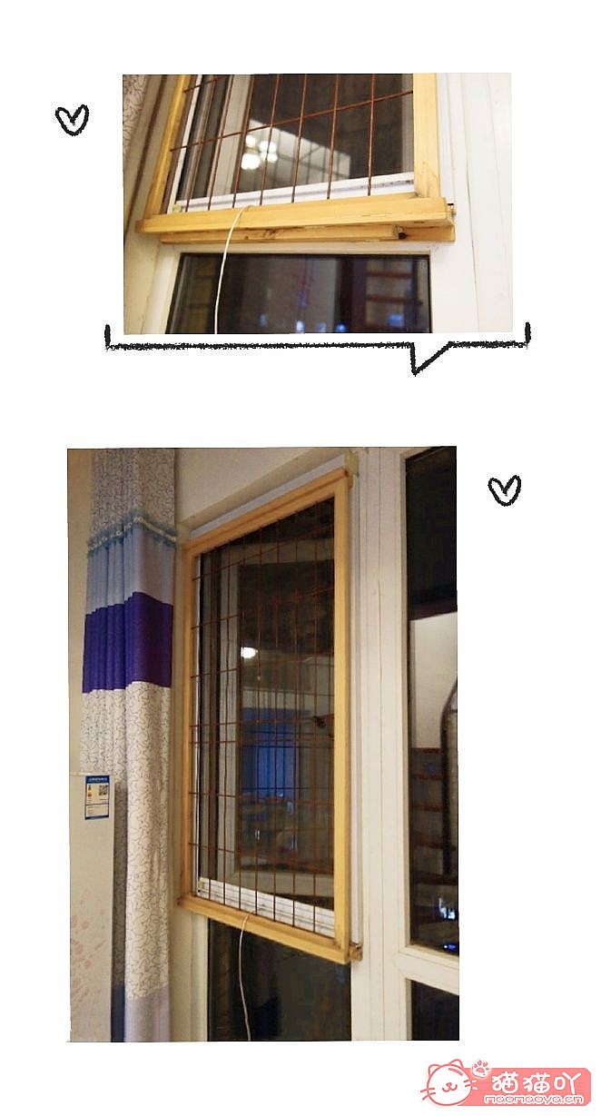 《迎接一只萌猫到家的全方面准备》原文配图5