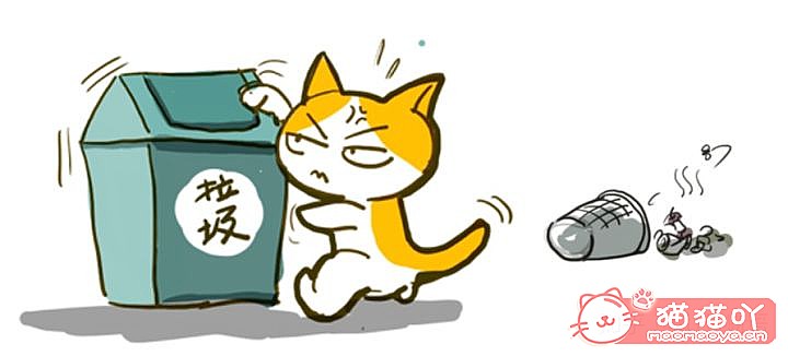 《迎接一只萌猫到家的全方面准备》原文配图9