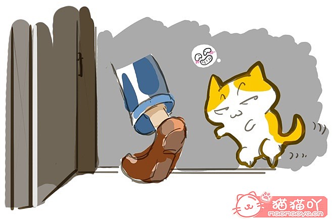 《迎接一只萌猫到家的全方面准备》原文配图3