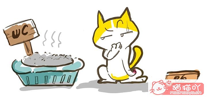 《迎接一只萌猫到家的全方面准备》原文配图8