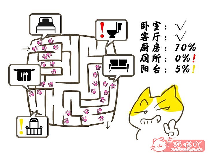 《迎接一只萌猫到家的全方面准备》原文配图7