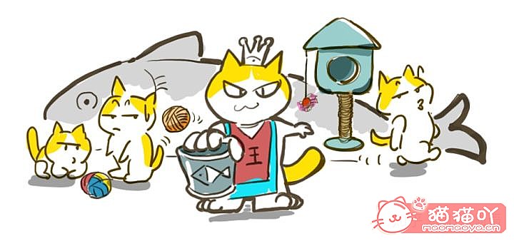 《迎接一只萌猫到家的全方面准备》原文配图12