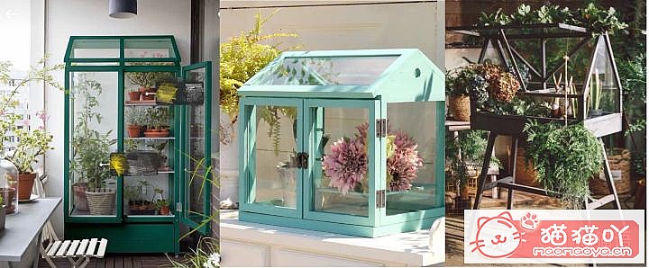 《迎接一只萌猫到家的全方面准备》原文配图10