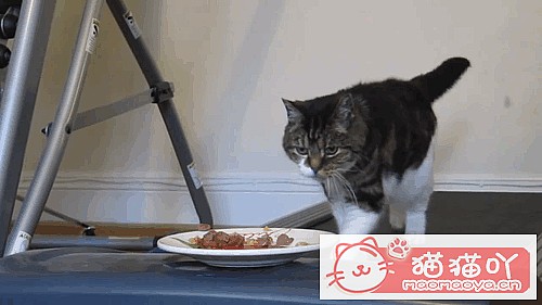 ��è���������ȷ������ʽ��ԭ����ͼ6