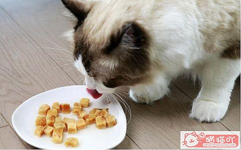 ��è���������ȷ������ʽ��ԭ����ͼ7