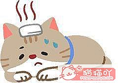 ��è�����ڵ�4��֢״����ԭ����ͼ1