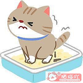 ��è�����ڵ�4��֢״����ԭ����ͼ4