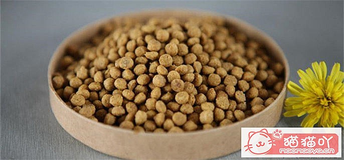 ��ʮ�����è������������ԭ����ͼ1