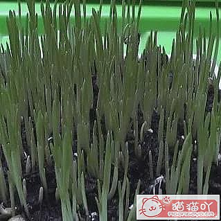 ������è�ݵĿ��ա�ԭ����ͼ3