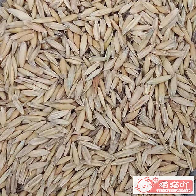 ������è�ݵĿ��ա�ԭ����ͼ5