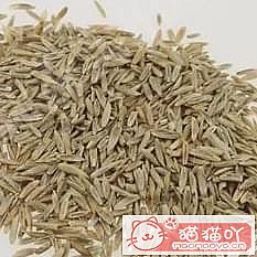 ������è�ݵĿ��ա�ԭ����ͼ9