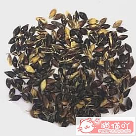 ������è�ݵĿ��ա�ԭ����ͼ7