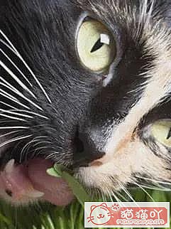 ������è�ݵĿ��ա�ԭ����ͼ15