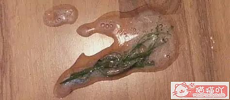 ������è�ݵĿ��ա�ԭ����ͼ19