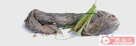 ������è�ݵĿ��ա�ԭ����ͼ20