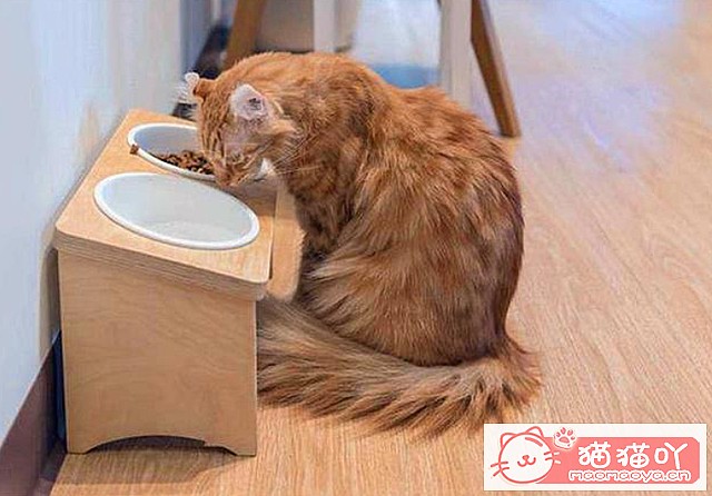 ��è����ϲ������ҧ�����˵��֣�ԭ��������Щ��˼����ԭ����ͼ6