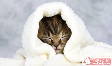 ��èè��ð֢״���ؿ�����ԭ����ͼ1