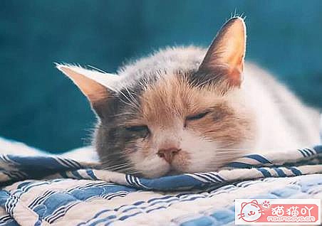 ��èè��ð֢״���ؿ�����ԭ����ͼ3