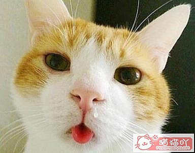 ��èè��ð֢״���ؿ�����ԭ����ͼ2