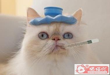 ��èè��ð֢״���ؿ�����ԭ����ͼ5