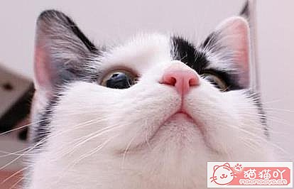 ��èè��ð֢״���ؿ�����ԭ����ͼ4