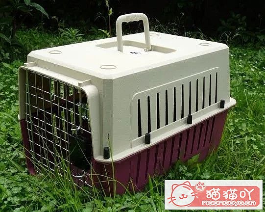 ���´��ؼҵ�è����Ҫ����Щ׼����-������èָ�ϡ�ԭ����ͼ2