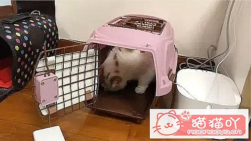 ����èһ��Ҫ������Ǯ����ԭ����ͼ4