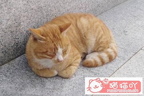 ��ĸè�仳����������ǳ����ԭ����ͼ1