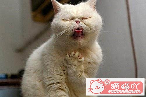 ������ж�è���Ƿ����ˣ���ԭ����ͼ3