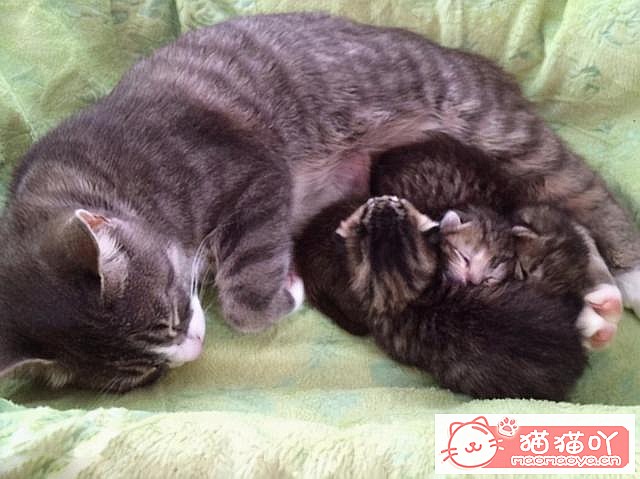 ��è�䡰���С�ǰ��Ӧ��ע����Щ���飿��ԭ����ͼ4