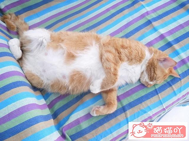 ��è�䡰���С�ǰ��Ӧ��ע����Щ���飿��ԭ����ͼ1