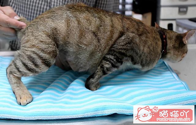 ��è�䡰���С�ǰ��Ӧ��ע����Щ���飿��ԭ����ͼ3