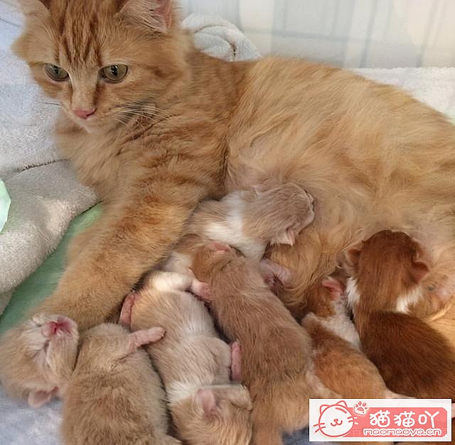 ��è�䡰���С�ǰ��Ӧ��ע����Щ���飿��ԭ����ͼ7