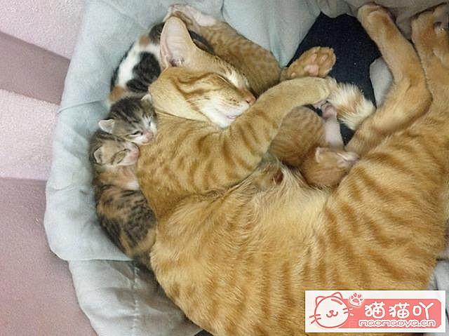 ��è�䡰���С�ǰ��Ӧ��ע����Щ���飿��ԭ����ͼ6