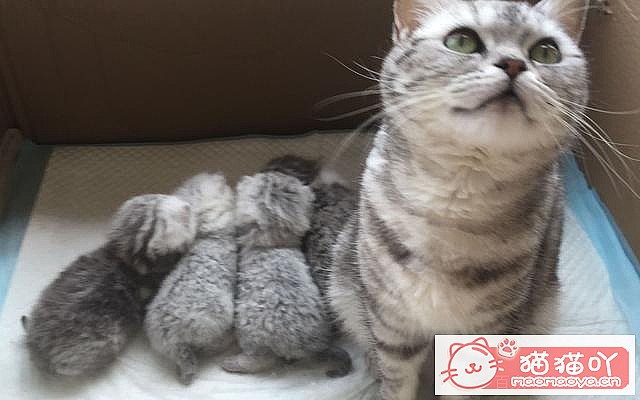 ��è�䡰���С�ǰ��Ӧ��ע����Щ���飿��ԭ����ͼ9