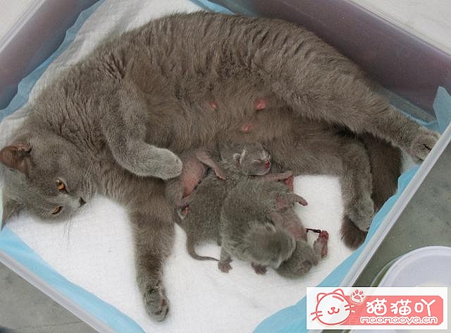 ��è�䡰���С�ǰ��Ӧ��ע����Щ���飿��ԭ����ͼ10