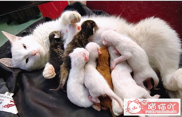 ��è�䡰���С�ǰ��Ӧ��ע����Щ���飿��ԭ����ͼ5