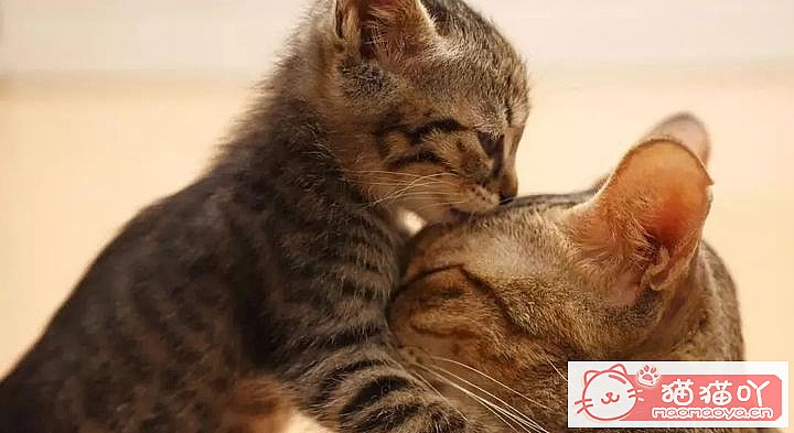 ��è�仳�е���ȷ�չ˷�ʽ��ԭ����ͼ1