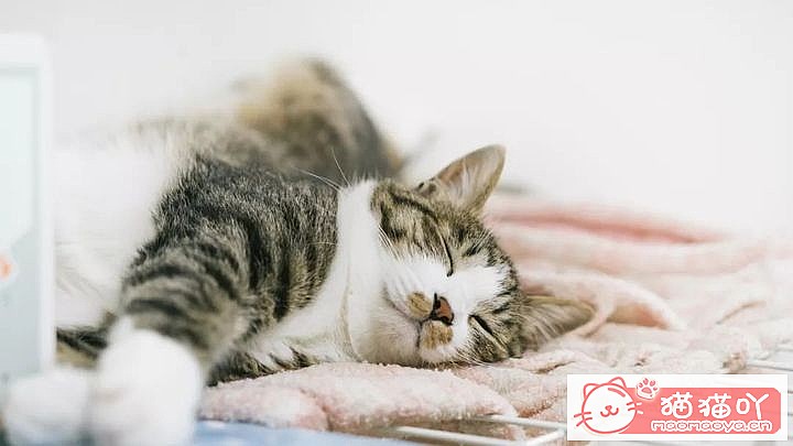 ��è�仳�е���ȷ�չ˷�ʽ��ԭ����ͼ2