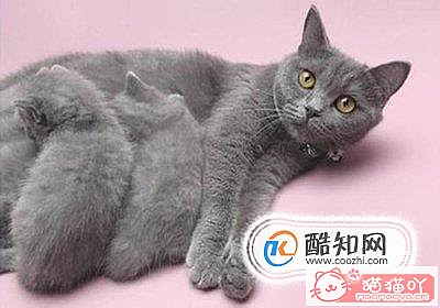 ��è���б���Ҫע���������ԭ����ͼ1