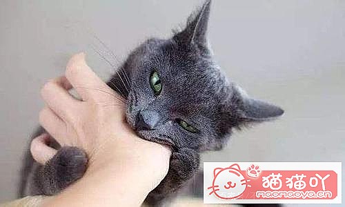 ����èһ��Ҫ���Ȯ�����𣿲�һ����ԭ����ͼ3