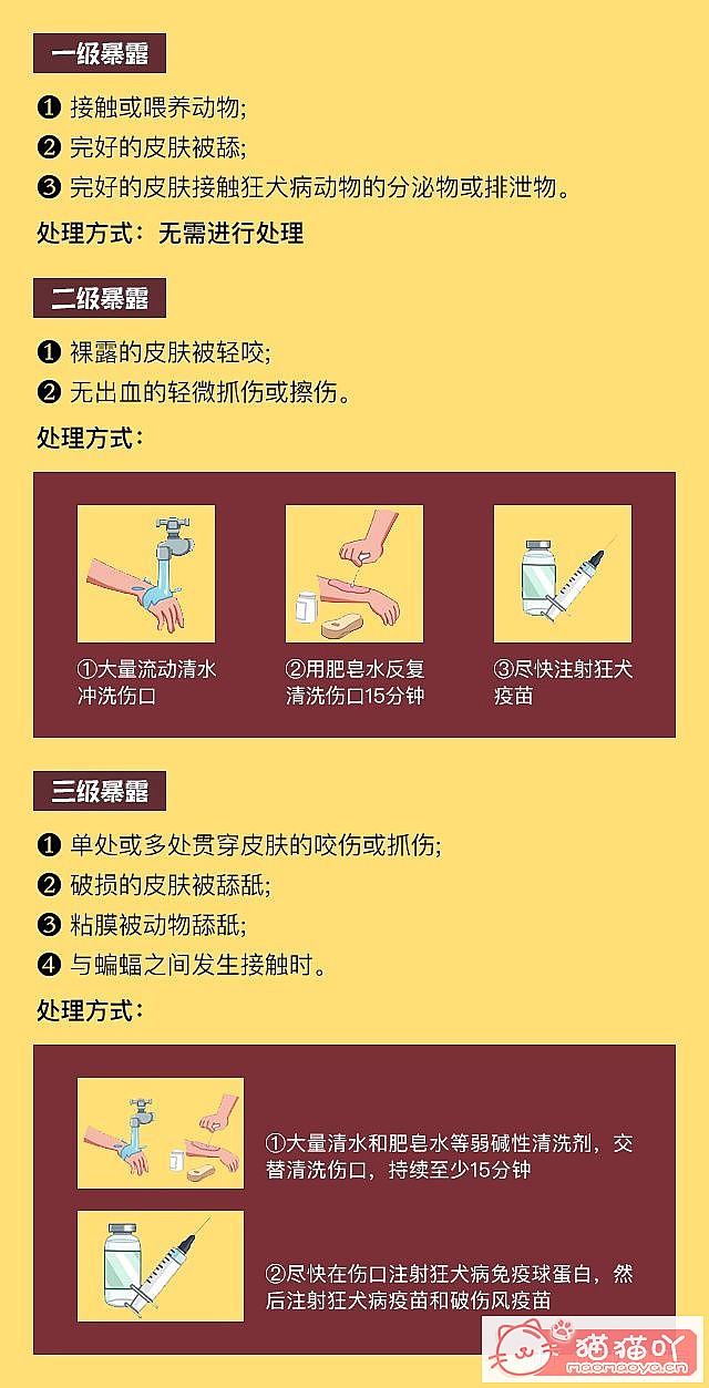 ����èץ��ҧ��֮��Ŀ�ѧ������ԭ����ͼ2