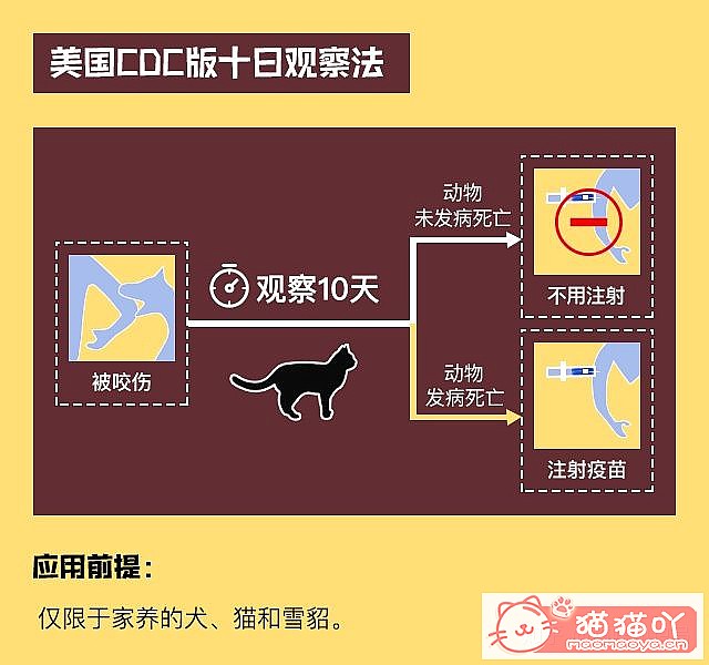 ����èץ��ҧ��֮��Ŀ�ѧ������ԭ����ͼ3