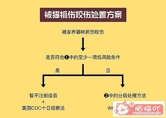 ����èץ��ҧ��֮��Ŀ�ѧ������ԭ����ͼ5