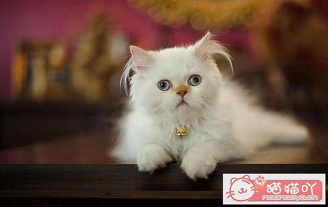 ��è��һ��Ҫ�������𣿴���Щ����ԭ����ͼ5