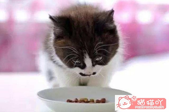 ��3����è���ɣ������˶������ˡ�ԭ����ͼ1