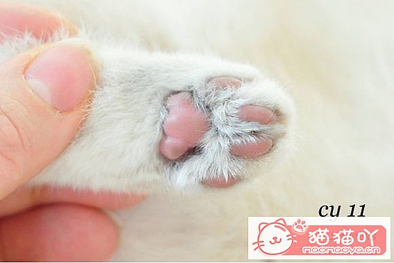 ���𽥲���ɫɫ�����ֽ𽥲�ϡ��ɫ����ƪ��ԭ����ͼ4