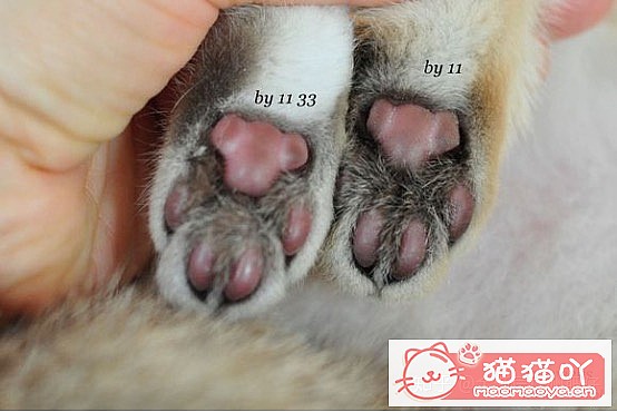 ���𽥲���ɫɫ�����ֽ𽥲�ϡ��ɫ����ƪ��ԭ����ͼ5