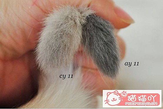 ���𽥲���ɫɫ�����ֽ𽥲�ϡ��ɫ����ƪ��ԭ����ͼ2